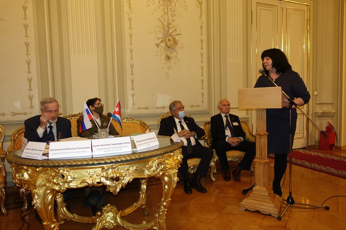 Елена Николаевна Ведута выступает на заседании Круглого стола в ЦДУ.